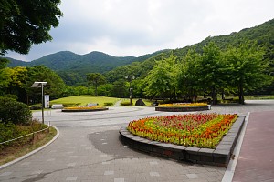 /